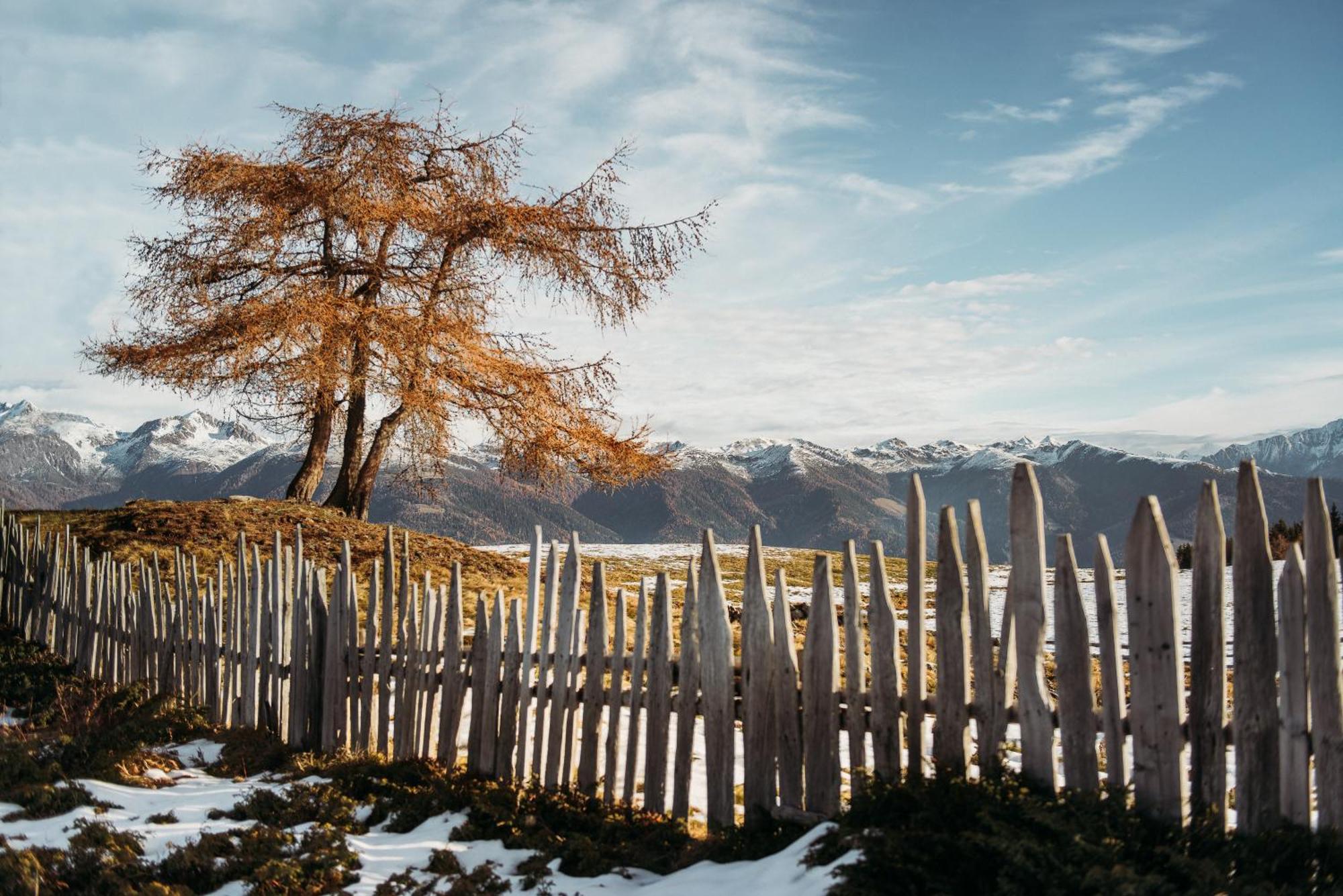 Oberhauser Huette Rodenecker - Luesner Alm 卢逊 外观 照片