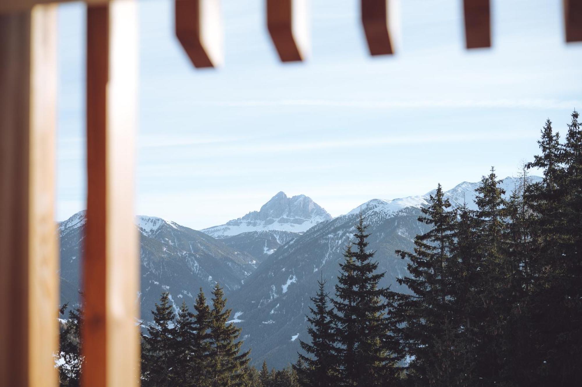 Oberhauser Huette Rodenecker - Luesner Alm 卢逊 外观 照片
