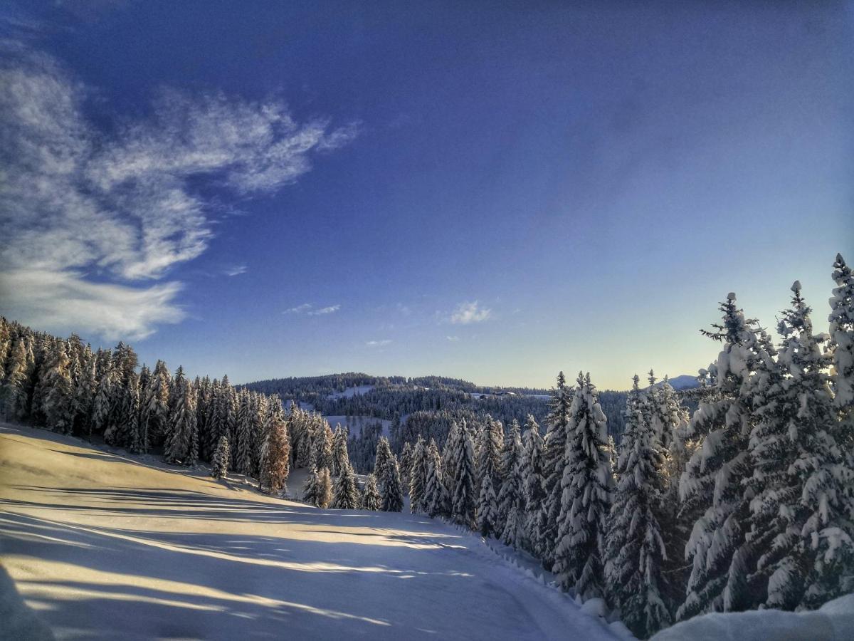 Oberhauser Huette Rodenecker - Luesner Alm 卢逊 外观 照片