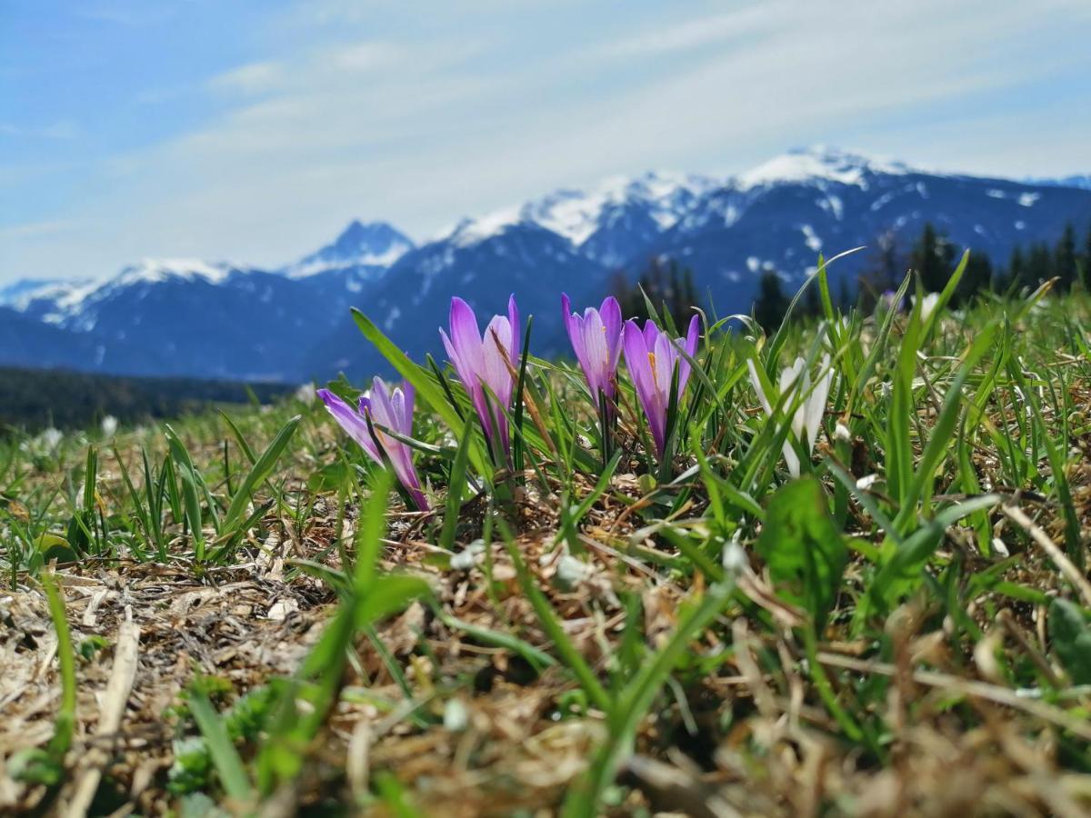 Oberhauser Huette Rodenecker - Luesner Alm 卢逊 外观 照片